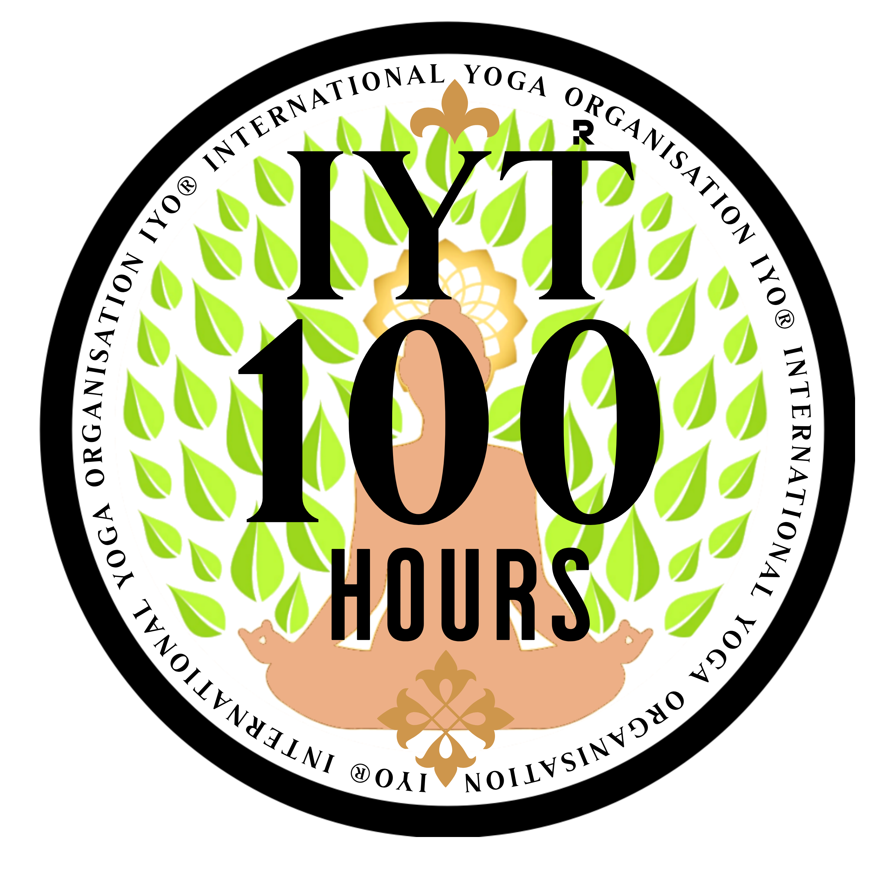 IYT - 100hrs logo