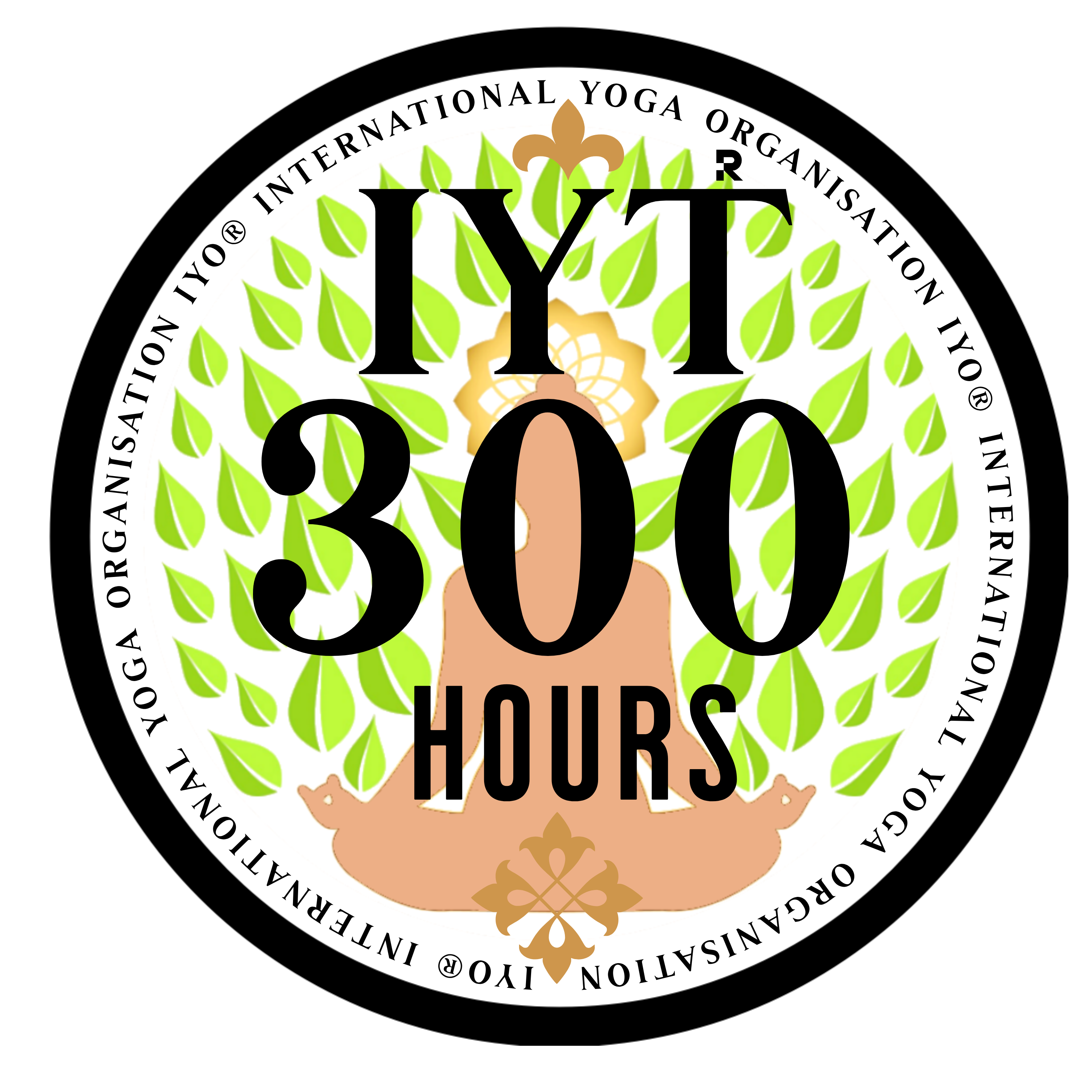 IYT - 300hrs logo